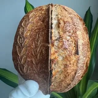 Two Roses Artisan Bakery | Sourdough | HOA Homesteading cover
